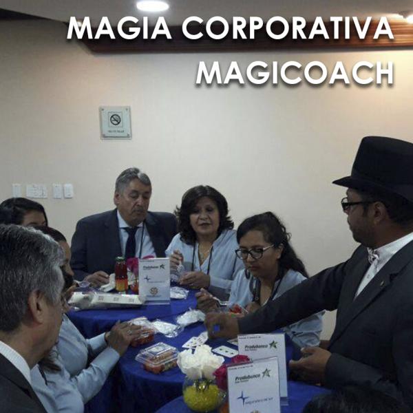 Magicoach Mago Miguelito