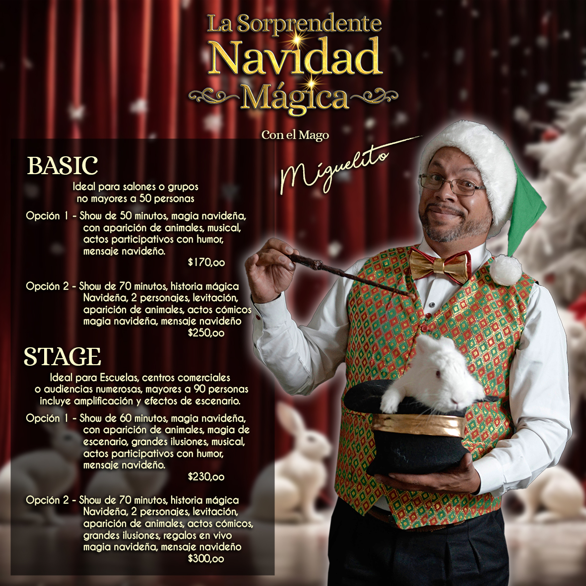 Navidad 2024 Mago Miguelito